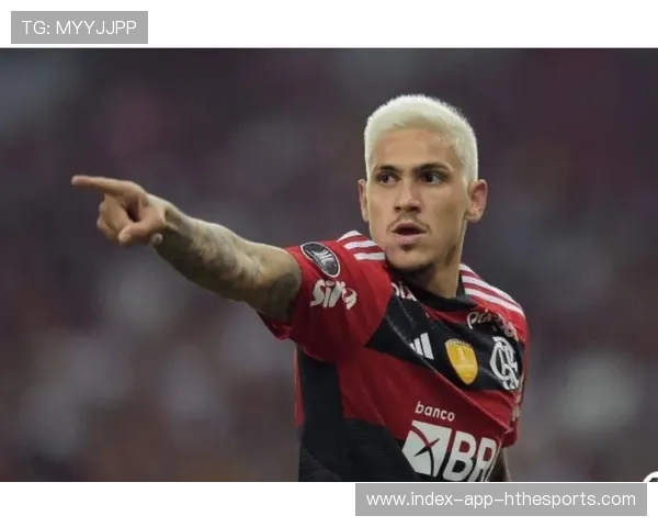 佩德罗梅开二度,弗拉门戈锋线核心,弗拉门戈和沙佩科 佩德罗梅开二度,弗拉门戈锋线核心,弗拉门戈和沙佩科